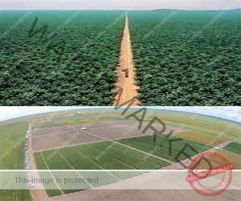 Top 10 Biggest Farms In The World In 2024.